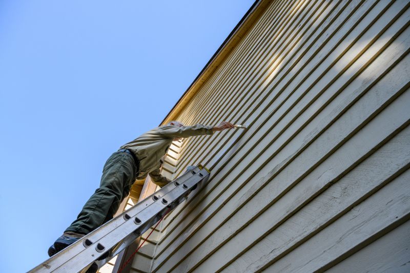 Painting of Siding and Cladding